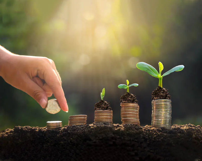 مركز توثيق الإنتهاكات الكيميائية والأبحاث CVDCR